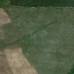 Satellite imagery of TT38, BG