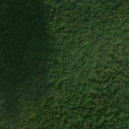 Satellite imagery of Patterson Ridge, US