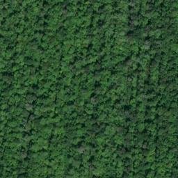 Satellite imagery of Pointe aux Pins, CA