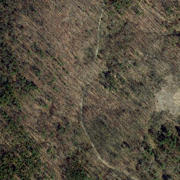 Satellite imagery of Point O'Rocks, US
