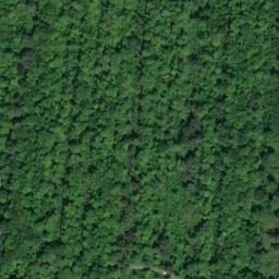 Satellite imagery of Pointe aux Pins, CA