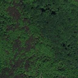 Satellite imagery of TT11, BG