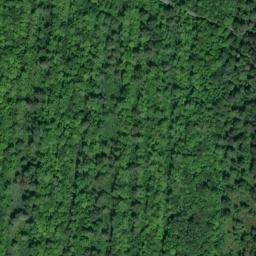 Satellite imagery of Pointe aux Pins, CA