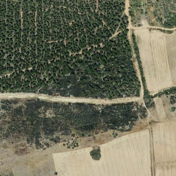 Satellite imagery of survey_point, ES