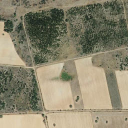 Satellite imagery of survey_point, ES