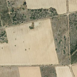 Satellite imagery of survey_point, ES