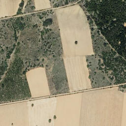 Satellite imagery of survey_point, ES
