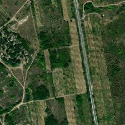 Satellite imagery of TT49, BG