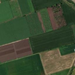 Satellite imagery of TT29, BG