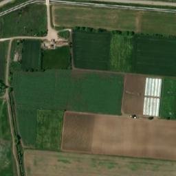 Satellite imagery of TT29, BG