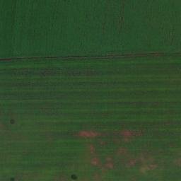 Satellite imagery of TT62, BG