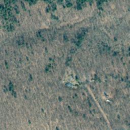Satellite imagery of Beech Ridge, US