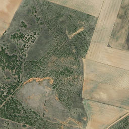 Satellite imagery of survey_point, ES