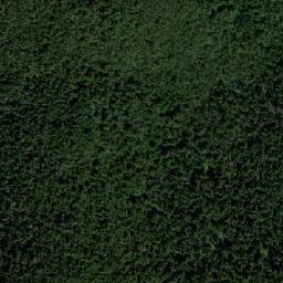 Satellite imagery of Kanarnika, BG