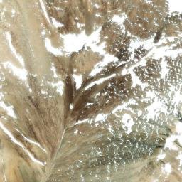Satellite imagery of survey_point, KZ