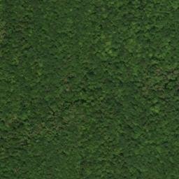 Satellite imagery of Artists Rock, US
