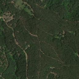 Satellite imagery of TT24, BG