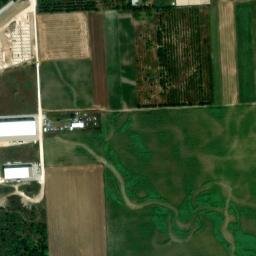 Satellite imagery of TT56, BG