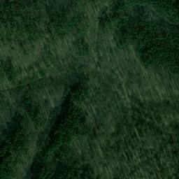 Satellite imagery of Bosna, BG