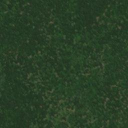 Satellite imagery of Osman Bair, BG