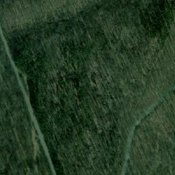 Satellite imagery of Bosna, BG
