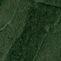 Satellite imagery of Bosna, BG