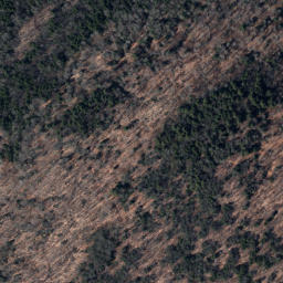 Satellite imagery of Brush Ridge, US