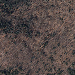 Satellite imagery of Brush Ridge, US