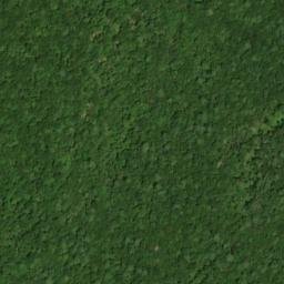 Satellite imagery of Hitchcock Mountain, US