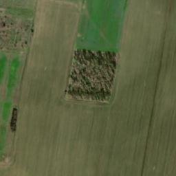 Satellite imagery of TT91, BG