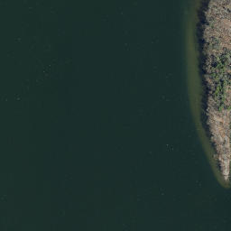 Satellite imagery of Long Point, US