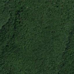 Satellite imagery of Dolna Veselitsa, BG