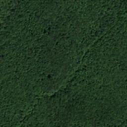 Satellite imagery of Dolna Veselitsa, BG