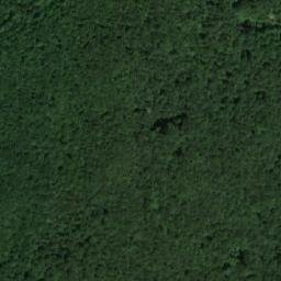 Satellite imagery of Dolna Veselitsa, BG