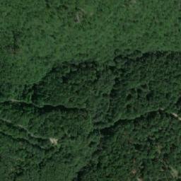 Satellite imagery of Dolna Veselitsa, BG