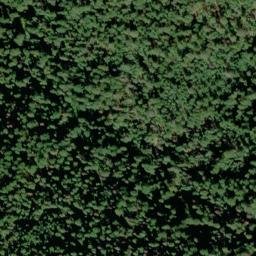 Satellite imagery of Skyline Mine, US