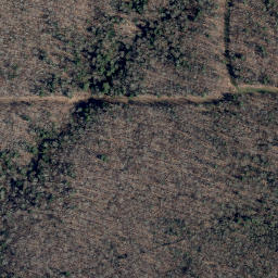 Satellite imagery of Tuthill Ridge, US