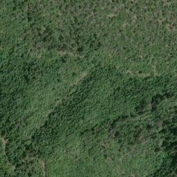 Satellite imagery of Palmer Ridge, US