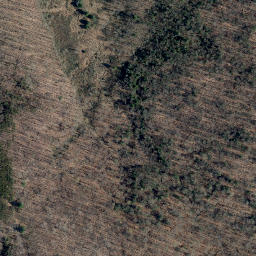 Satellite imagery of Tuthill Ridge, US