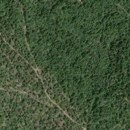 Satellite imagery of Palmer Ridge, US