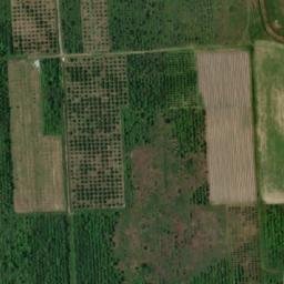 Satellite imagery of TT98, BG