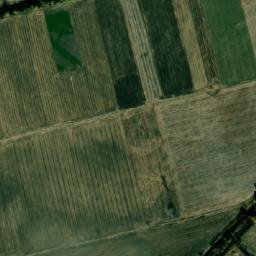 Satellite imagery of TT29/X/, BG