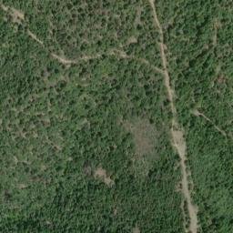 Satellite imagery of Palmer Ridge, US