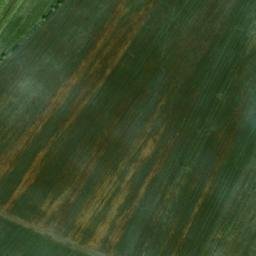 Satellite imagery of TT39, BG