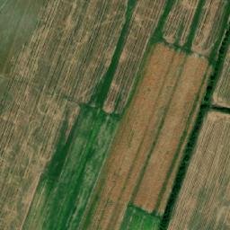 Satellite imagery of TT39, BG