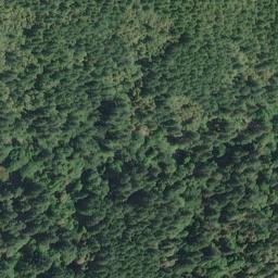 Satellite imagery of Boar Backbone, US