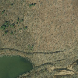 Satellite imagery of Red House Point, US