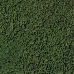 Satellite imagery of Money Point, US