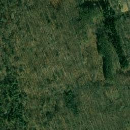 Satellite imagery of Money Point, US