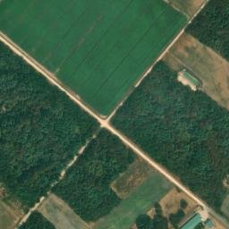 Satellite imagery of survey_point, PT